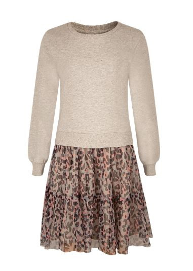Kleid Grau/Leo