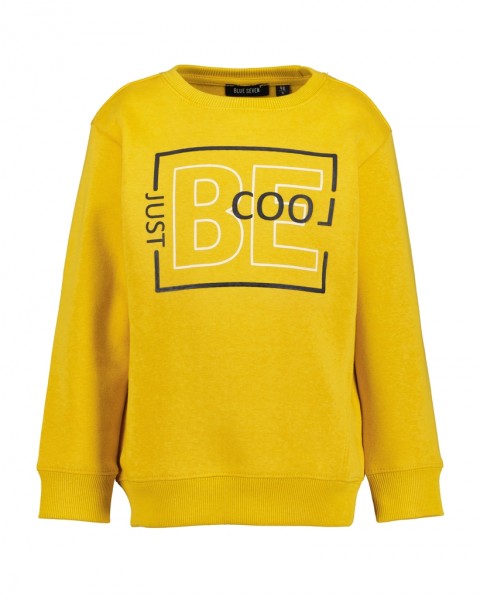 Sweatshirt, Rundhals, honig