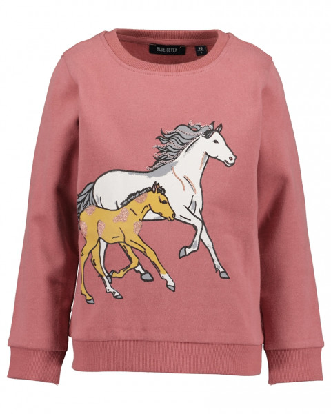 Sweatshirt, Rundhals, aubergine