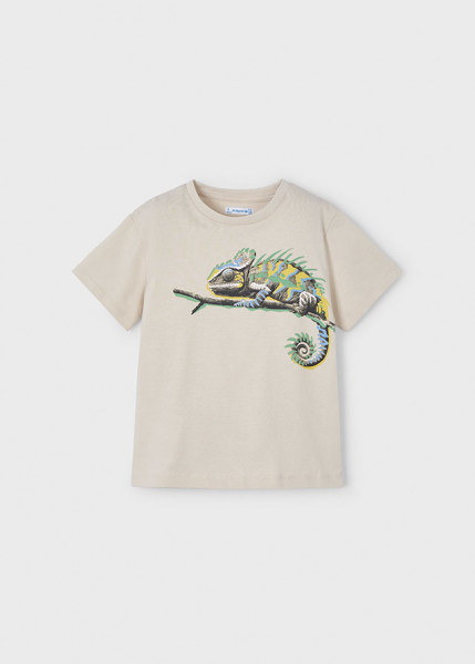 T-Shirt kurzarm chameleon, quarz