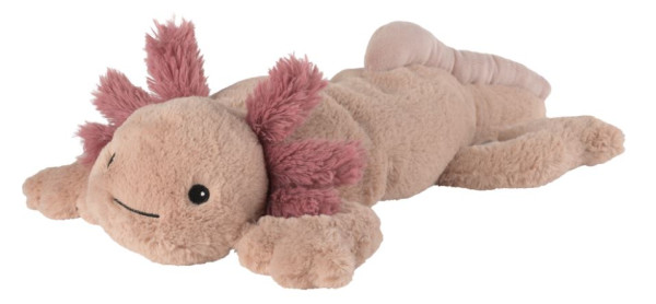 Axolotl