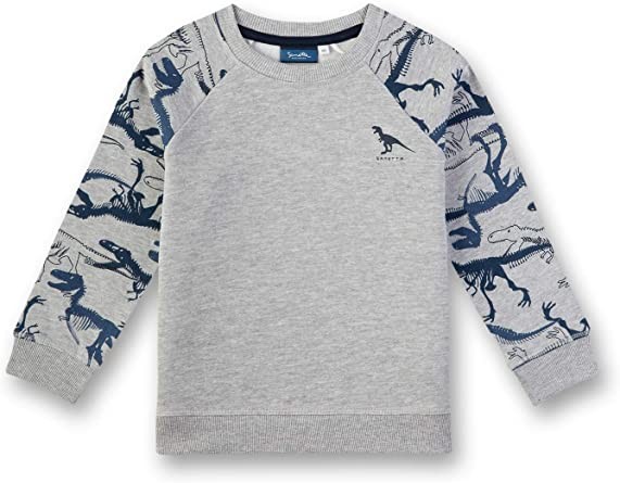 Sanetta, Sweatshirt mit Dinomotiven in grau