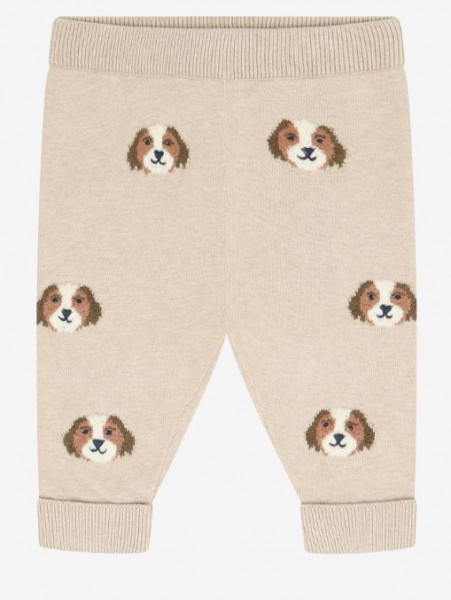 Strickhose Hund