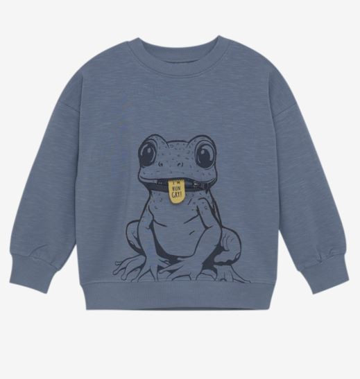 Sweatshirt Frosch