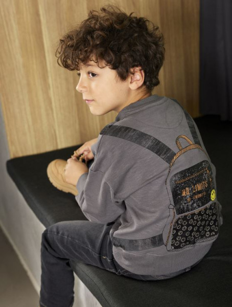 Sweatshirt Grau