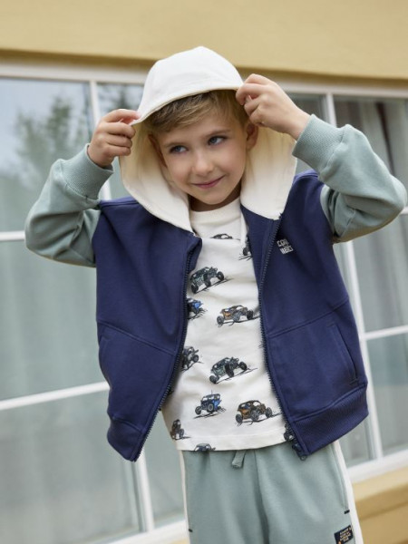 Sweatjacke Grün/blau