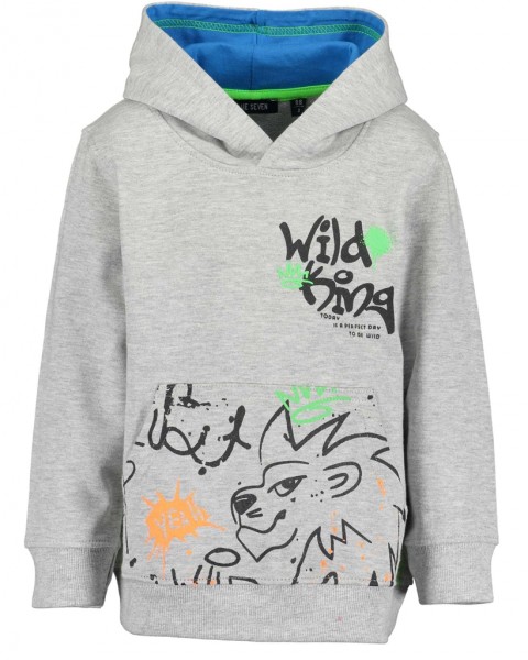 Sweatshirt, Kapuze, nebel mel