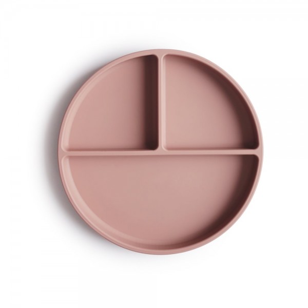 Silicone Plate Blush