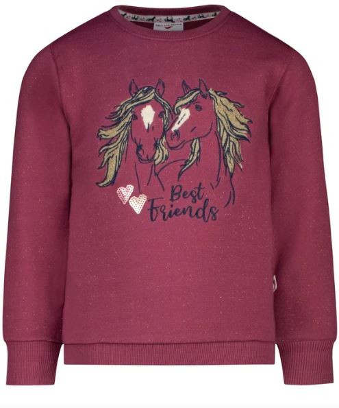 Sweatshirt Best Friends Bordo