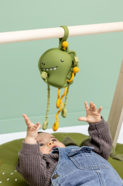 Sensorik Ziehspielzeug aus Silikon Mr. Dino
