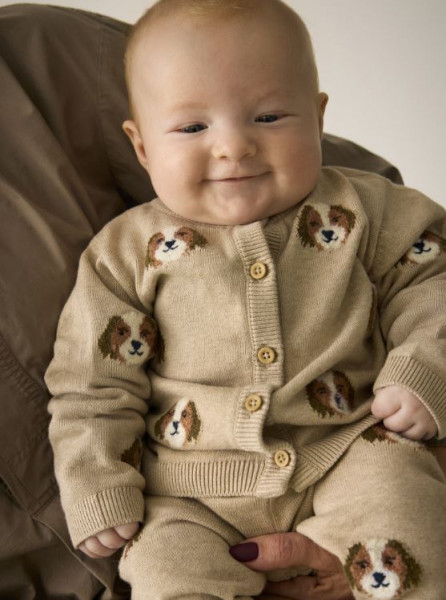 Strickjacke Hund