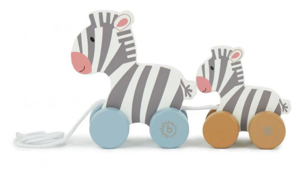 Nachzieh Zebras
