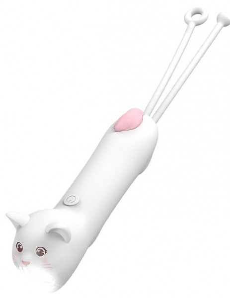Taschenlampe Katze