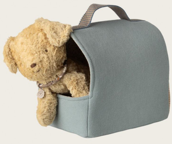 Haustier Transportbox, klein blau